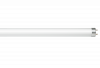 ����� ��/� 10�� LED-T8R-std 10�� 230�  G13 4000� 800�� 600�� ������� ASD ���� � ��-��