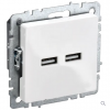 BRITE ���. USB A+A 3,1� ��10-1-��� ���. IEK